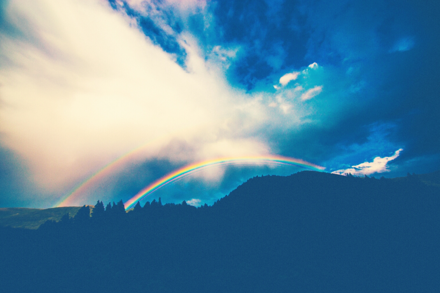 One Rainbow Baby On The Way!